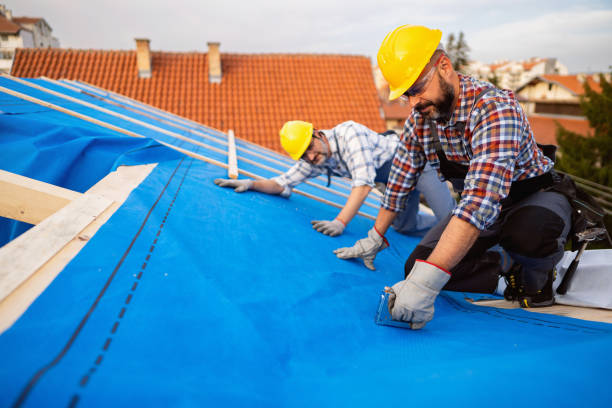 Best Flat Roof Repair Services  in Paramount, CA